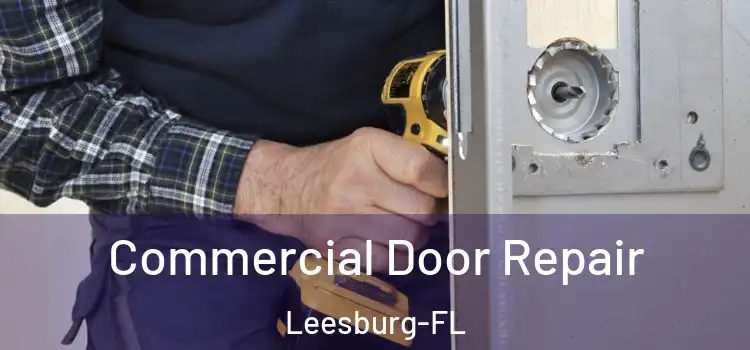 Commercial Door Repair Leesburg-FL