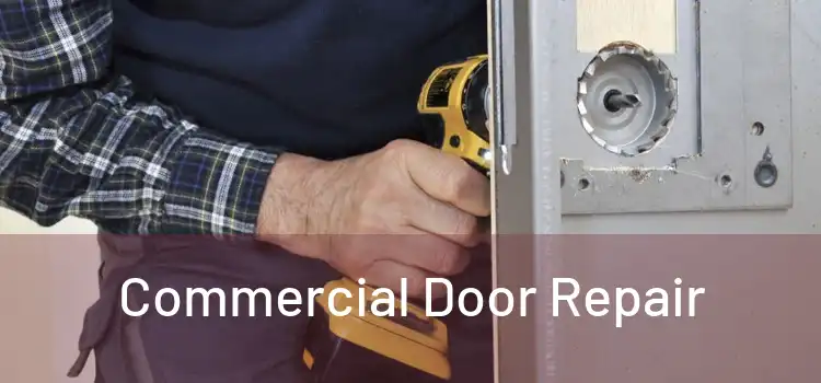 Commercial Door Repair