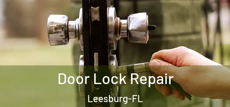 Door Lock Repair Leesburg-FL