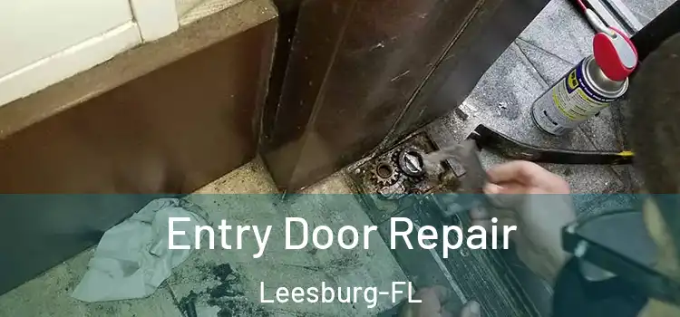 Entry Door Repair Leesburg-FL