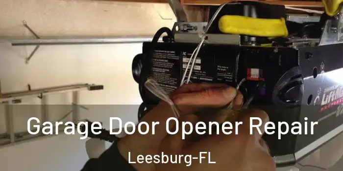 Garage Door Opener Repair Leesburg-FL