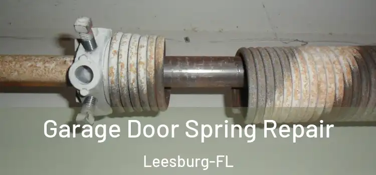 Garage Door Spring Repair Leesburg-FL