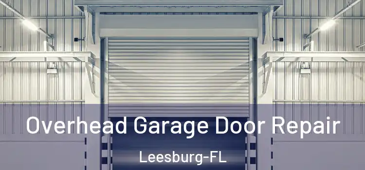 Overhead Garage Door Repair Leesburg-FL