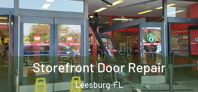 Storefront Door Repair Leesburg-FL